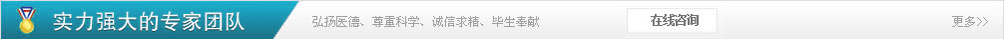 专家团队